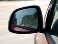 ��������SX4