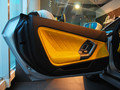 Gallardo