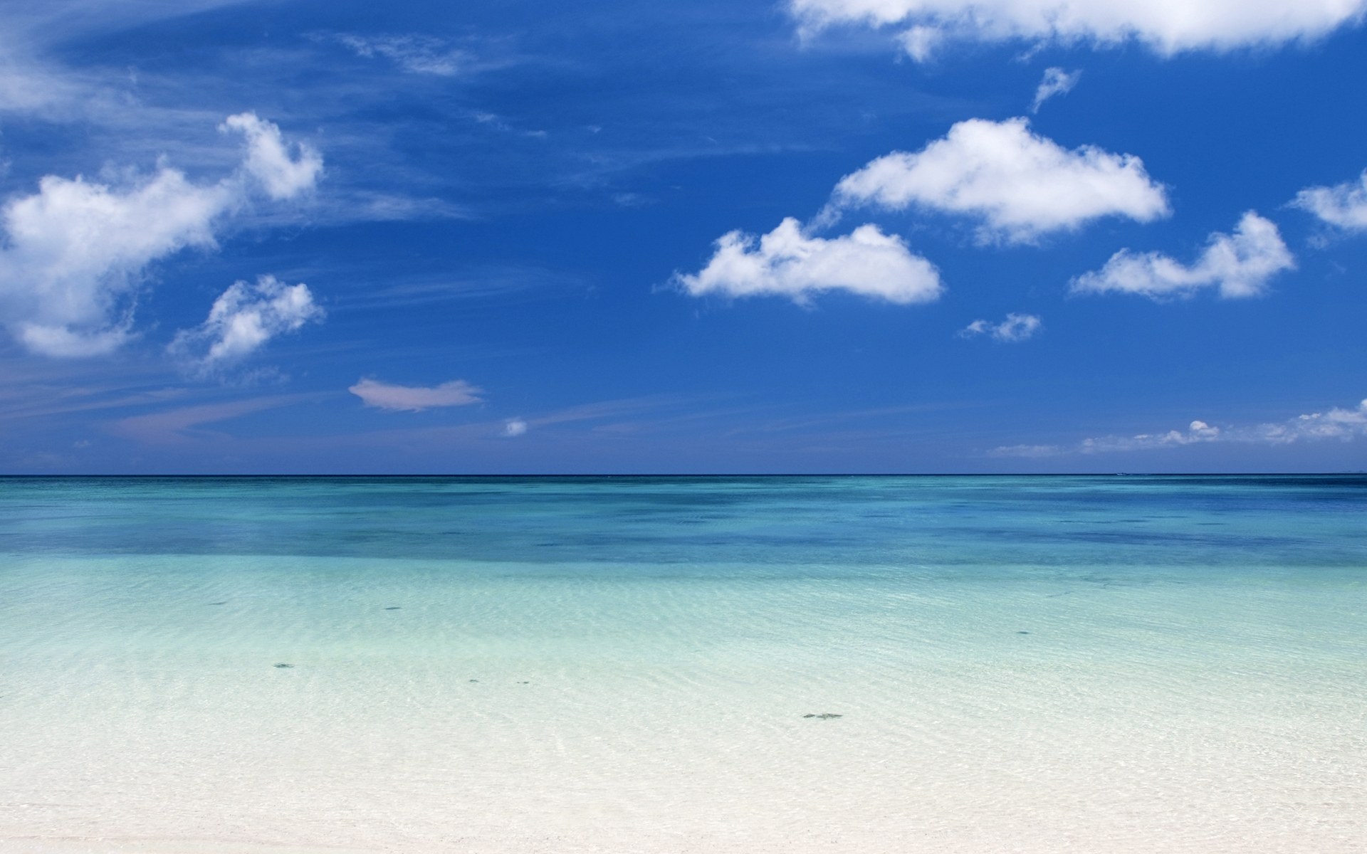 叙尔特岛 海滩 北海 俱乐部 海滩生活 夏季 太阳 游泳图片下载 - 觅知网