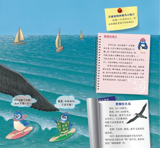 《蓝色乐团观鸟之旅》之美洲寻歌之旅精彩连载