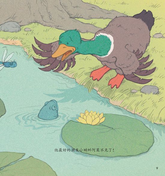 《第一次独自面对世界系列》之小蝌蚪成长记精彩连载