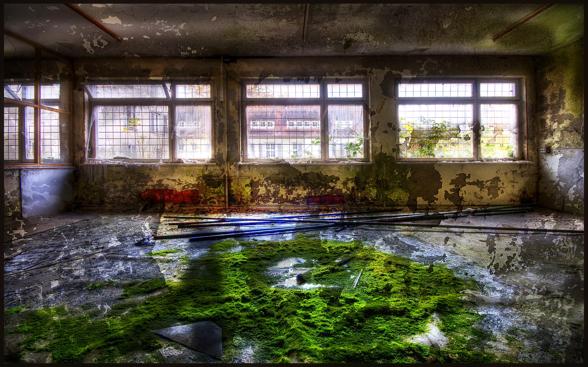 城市废墟影像宽屏壁纸