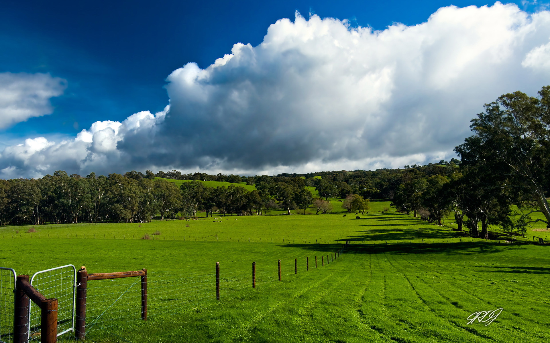 Australia Landscape Wallpapers - Top Free Australia Landscape Backgrounds - WallpaperAccess